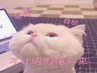 灵璧县梵以服装店