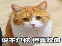 灵璧县梵以服装店