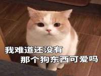 灵璧县梵以服装店