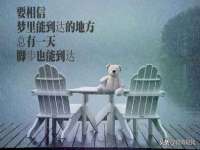灵璧县梵以服装店