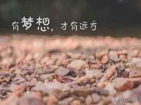 灵璧县梵以服装店