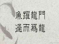 灵璧县梵以服装店