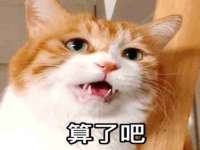 灵璧县梵以服装店