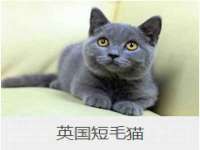 灵璧县梵以服装店