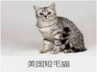 灵璧县梵以服装店