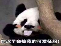 灵璧县梵以服装店