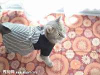 灵璧县梵以服装店