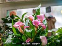 灵璧县梵以服装店