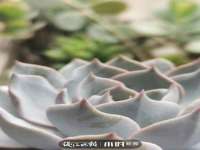 灵璧县梵以服装店