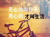 灵璧县梵以服装店