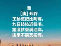 灵璧县梵以服装店