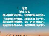 灵璧县梵以服装店
