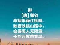 灵璧县梵以服装店