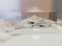 灵璧县梵以服装店