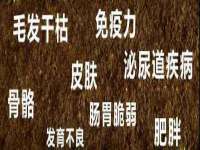 灵璧县梵以服装店