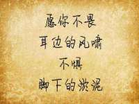 灵璧县梵以服装店