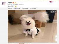 灵璧县梵以服装店