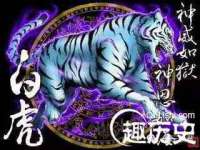 灵璧县梵以服装店