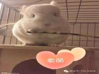 灵璧县梵以服装店