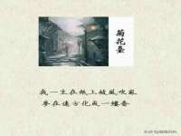 灵璧县梵以服装店