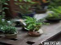 灵璧县梵以服装店