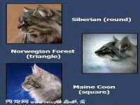 灵璧县梵以服装店