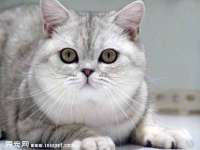 灵璧县梵以服装店