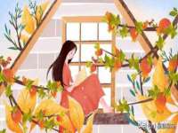 灵璧县梵以服装店