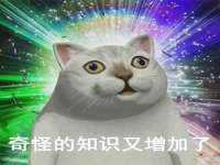 灵璧县梵以服装店