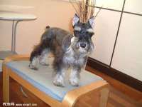 灵璧县梵以服装店