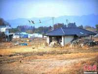 灵璧县梵以服装店