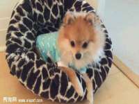 灵璧县梵以服装店