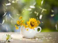灵璧县梵以服装店